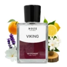 Viking-1.webp